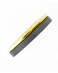 TITANIUM & 18K GOLD 